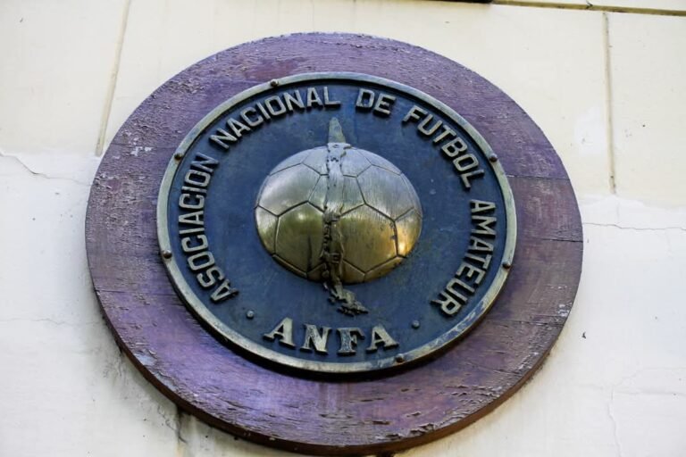 LOS CLUBES 2026 ACEPTADOS EN ANFA